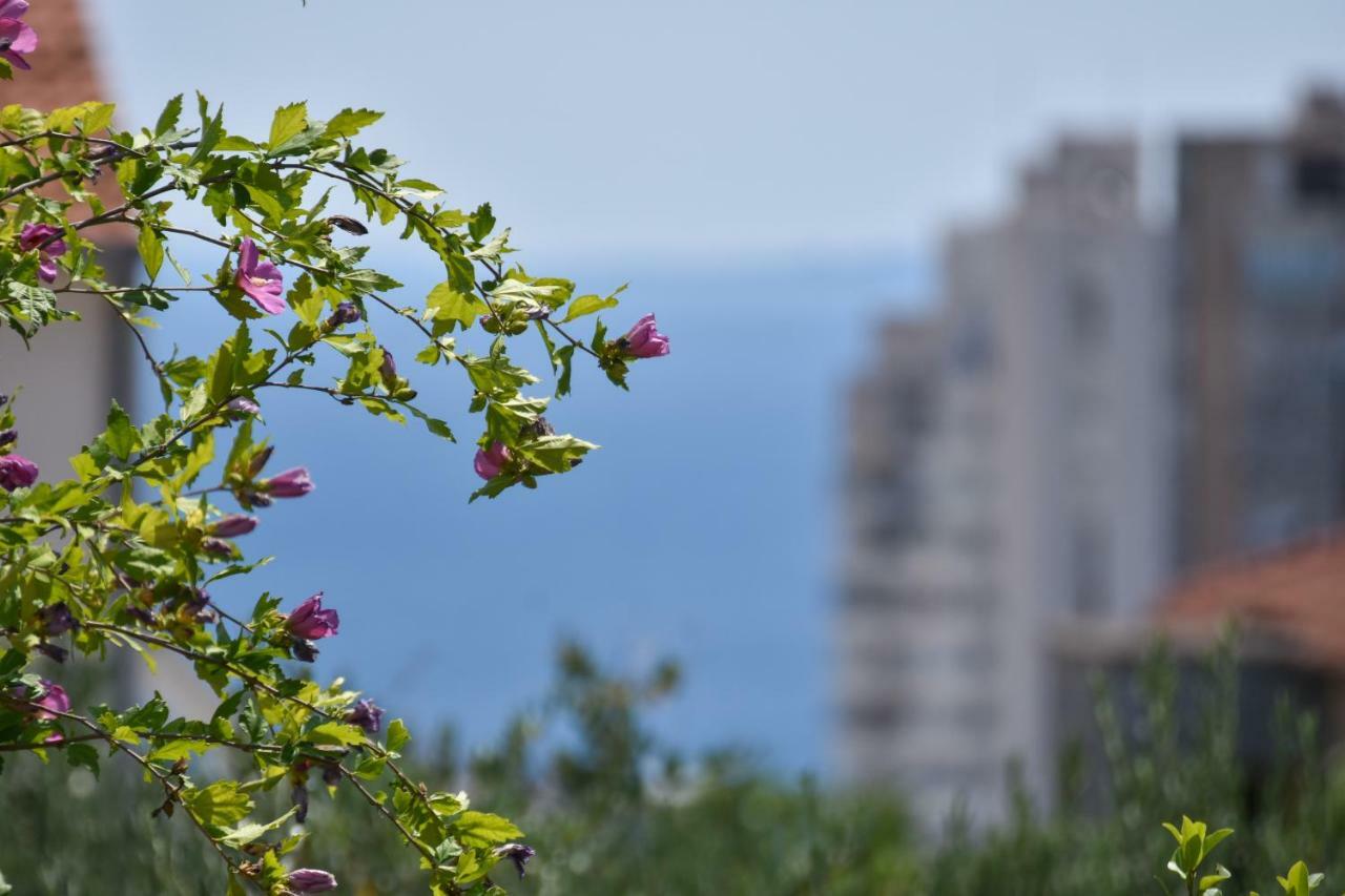 Apartment Neyra Split Exteriér fotografie